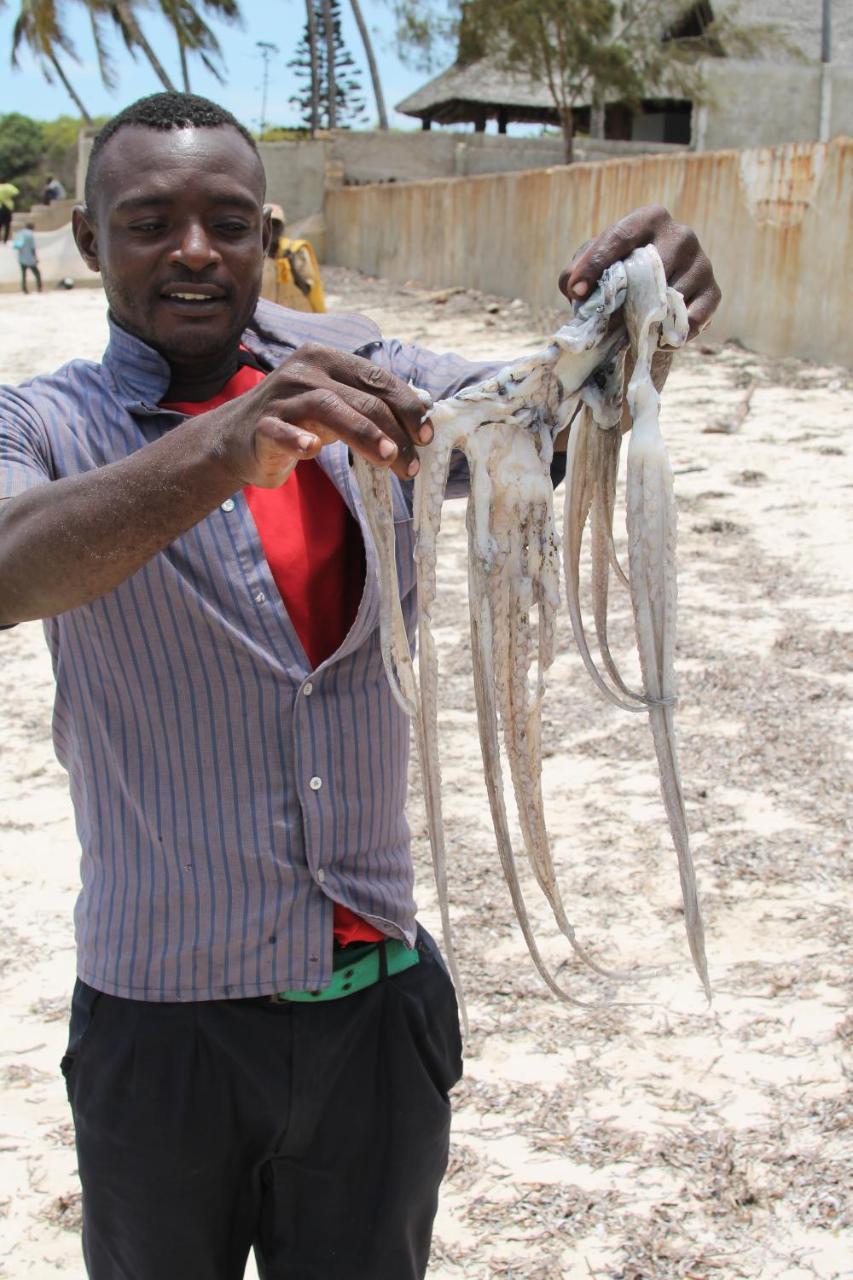 Oluwa Seun Beach Cottages, Mtwapa Mombasa Eksteriør billede